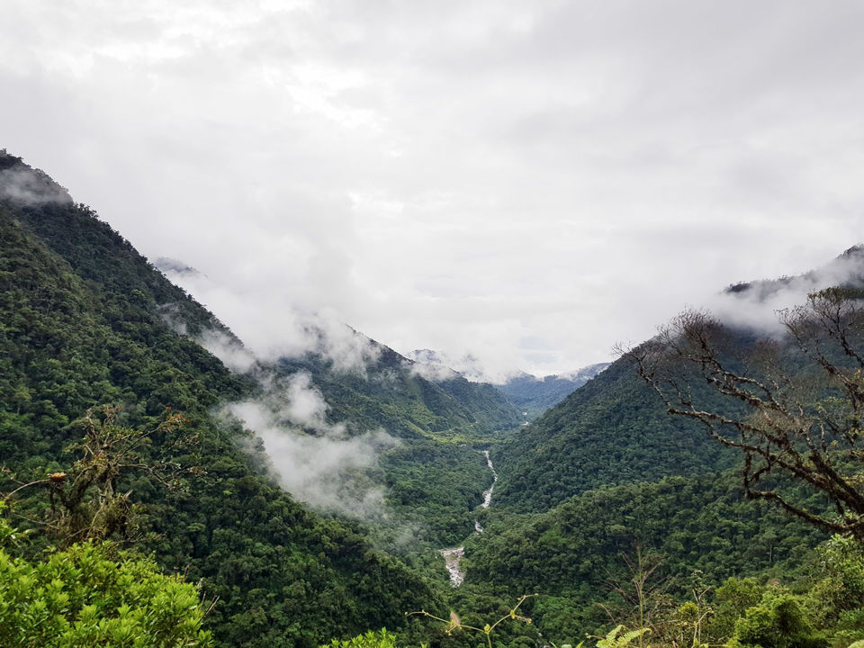 Photo of An honest review of visiting Manu National Park by suva jana