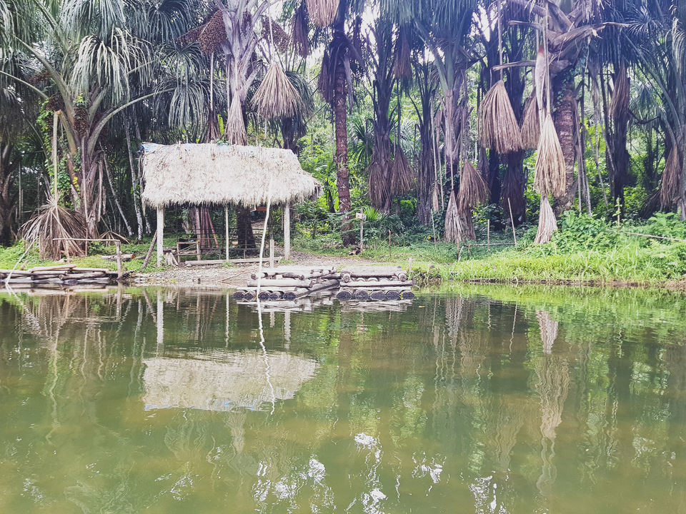 Photo of An honest review of visiting Manu National Park by suva jana