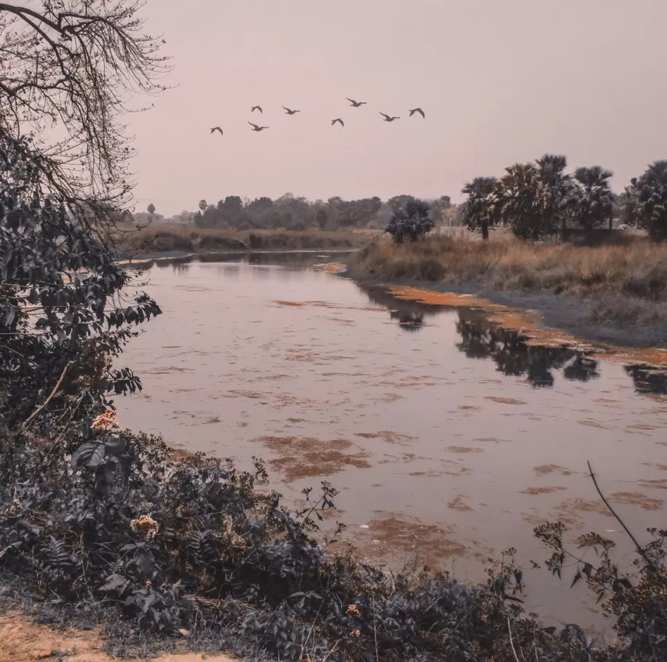 Photo of kopai, West Bengal by The Calcutta Nomad