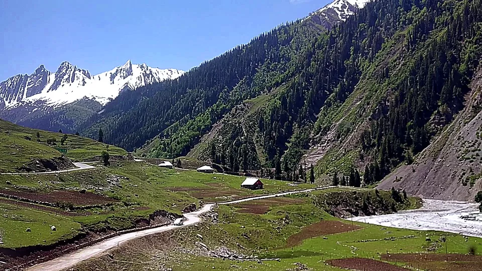 Photo of Sonamarg - Golden Meadows by Travel Board