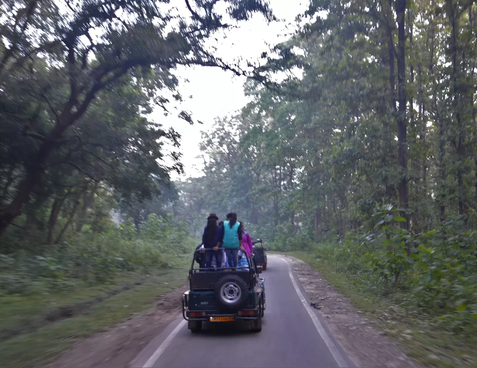 Photo of A Stay-cation You Don't Want To Miss by Sushmita Saxena