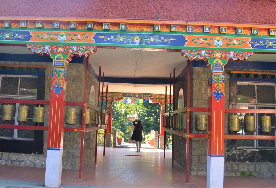 Photo of Did You Know There Is An Institute Preserving Tibetan Culture Just 8 Kms Away From Dharamshala? by Sushmita Saxena
