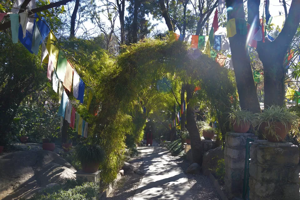 Photo of Norbulingka Institute, Palampur - Dharamshala Road, Sidhpur, Himachal Pradesh, India by Sushmita Saxena 
