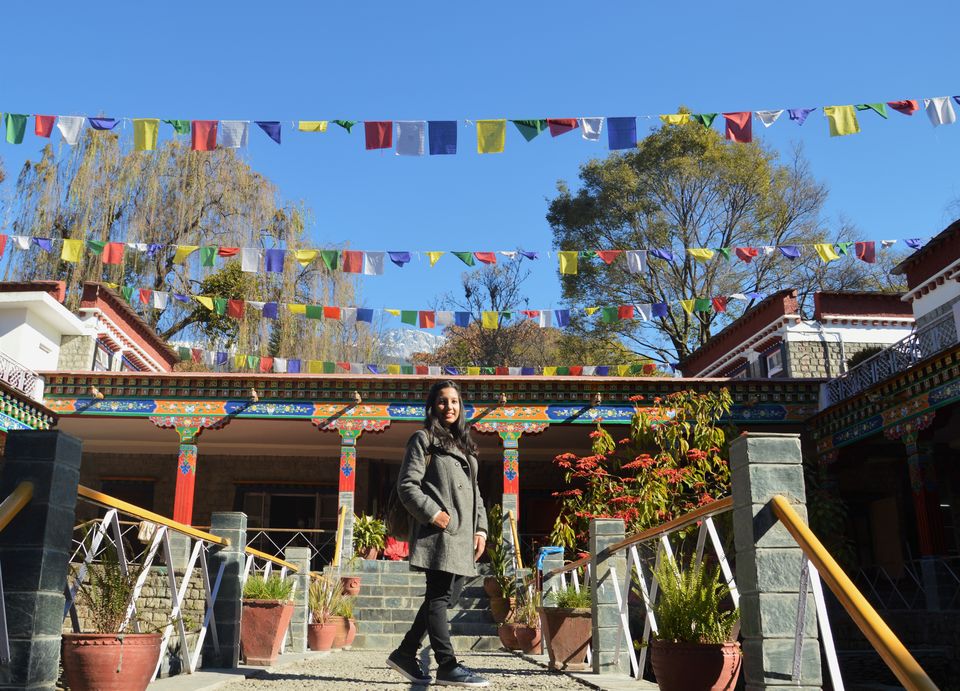 Photo of Did You Know There Is An Institute Preserving Tibetan Culture Just 8 Kms Away From Dharamshala? by Sushmita Saxena