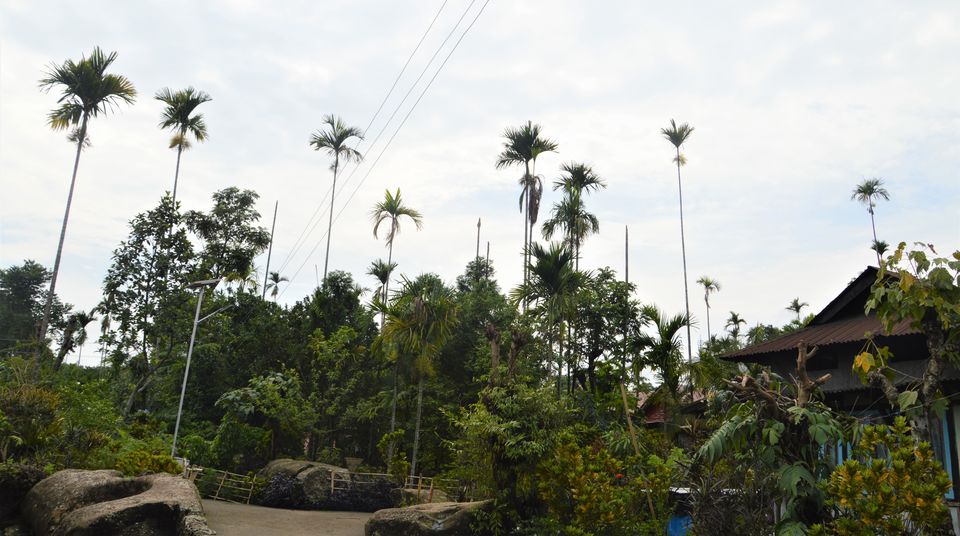 Photo of All About Asia's Cleanest Village : Mawlynnong, Meghalaya by Sushmita Saxena