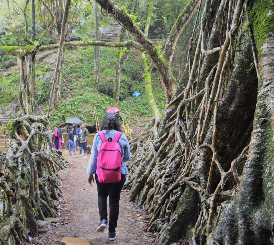 Photo of All About Asia's Cleanest Village : Mawlynnong, Meghalaya by Sushmita Saxena