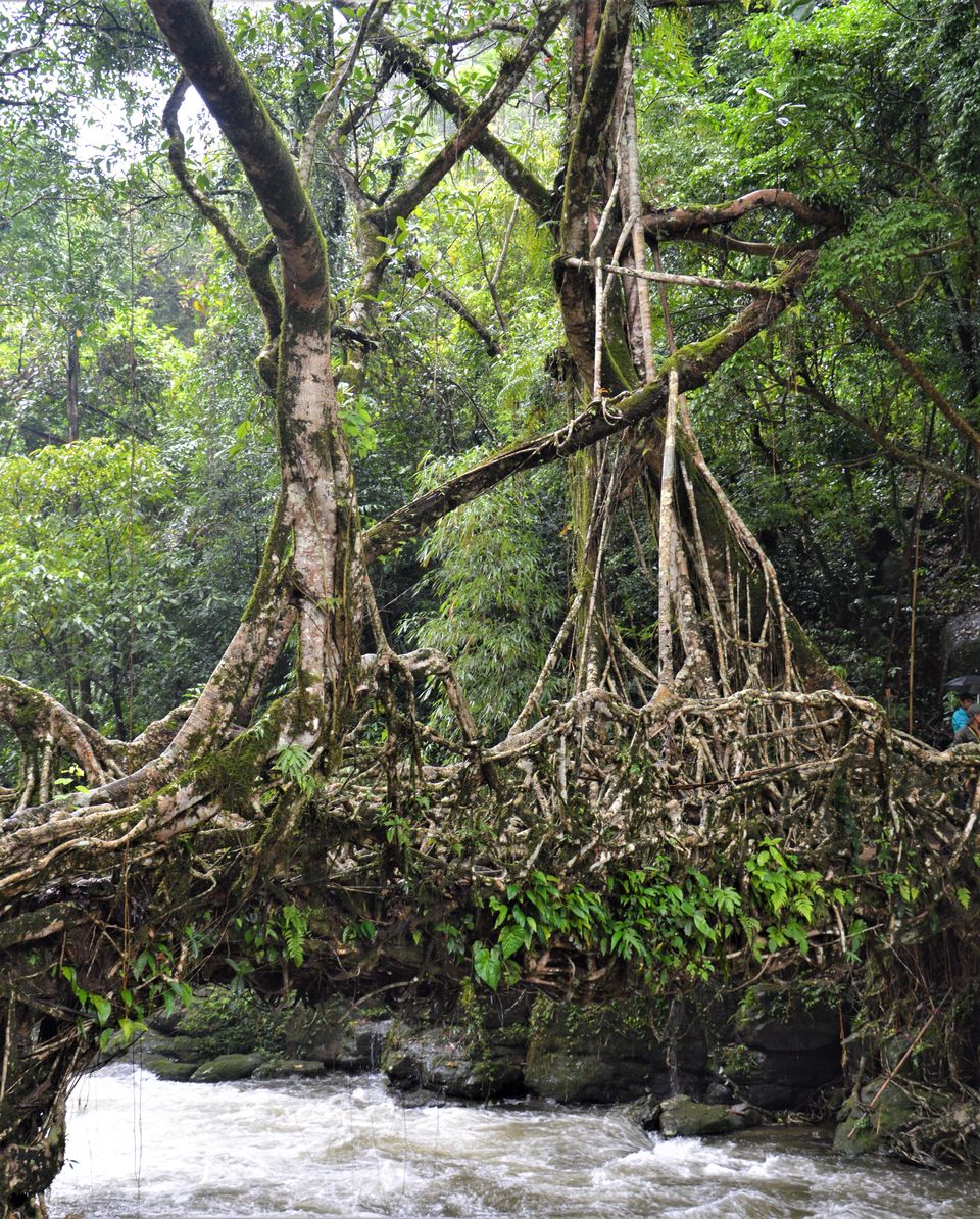 Photo of All About Asia's Cleanest Village : Mawlynnong, Meghalaya by Sushmita Saxena