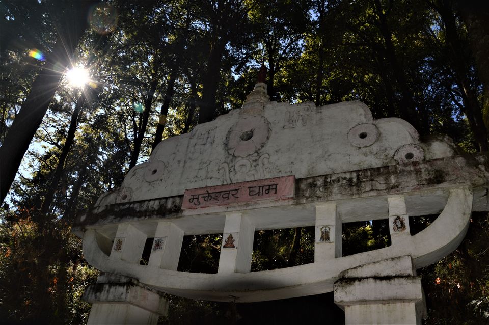 Photo of 7 Reasons Why You Should Visit This Enchanting Village Just 50 Kms Away From Nainital 8/10 by Sushmita Saxena