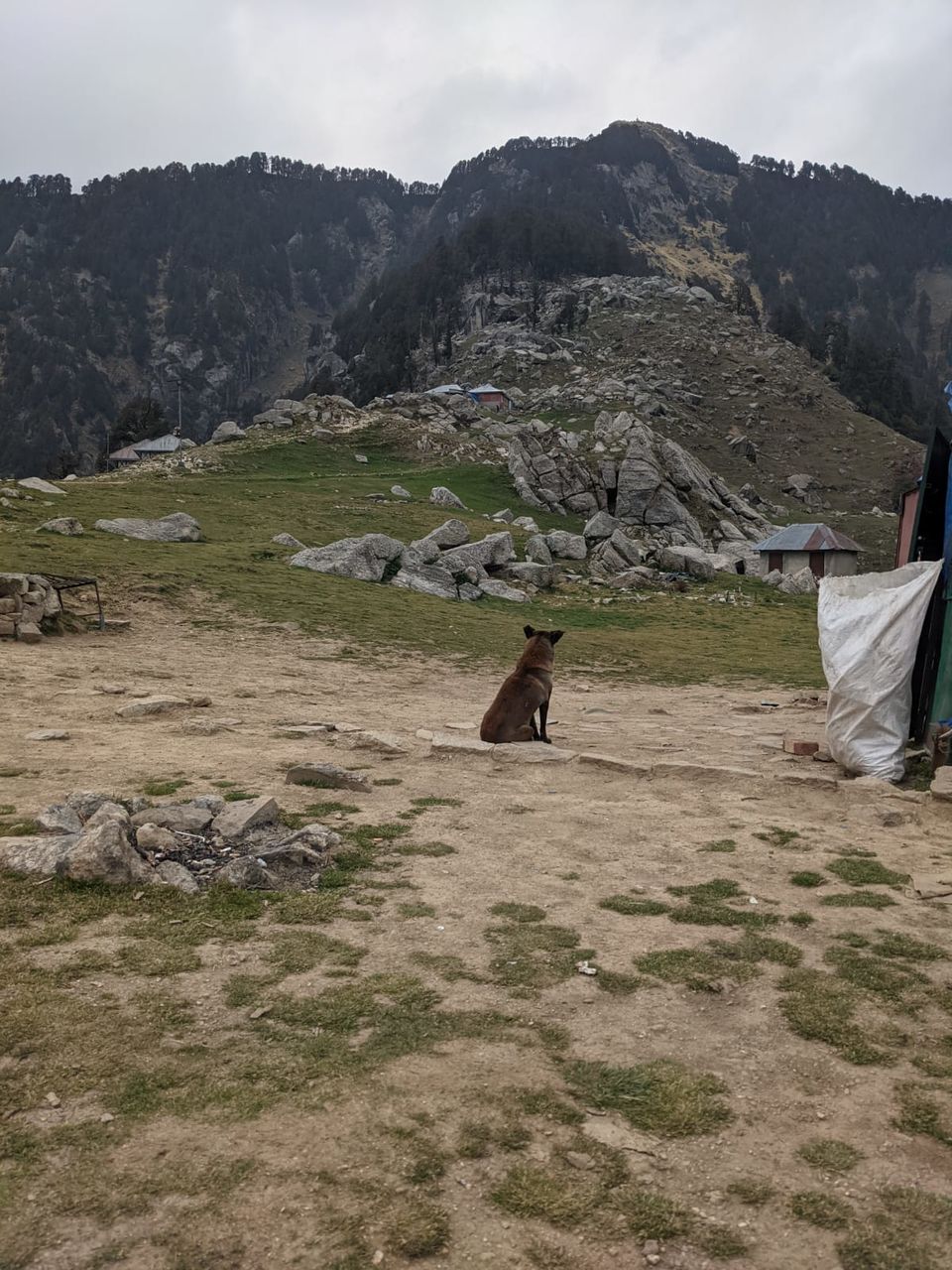 Photo of Triund Trek, Trail to Triund Hill, Dharamshala, Himachal Pradesh, India by Ishita Das