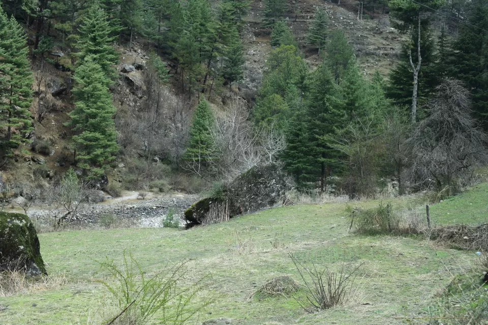 Photo of Bhuntar, Himachal Pradesh, India by Ashfaque Hussain