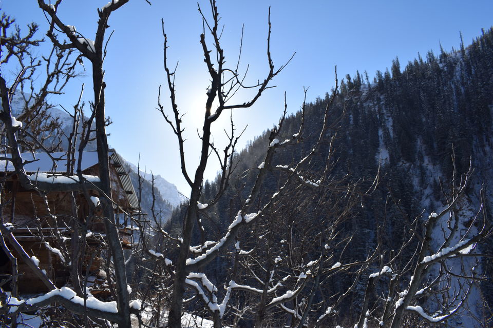 Photo of Nakthan, Himachal Pradesh, India by Ashfaque Hussain