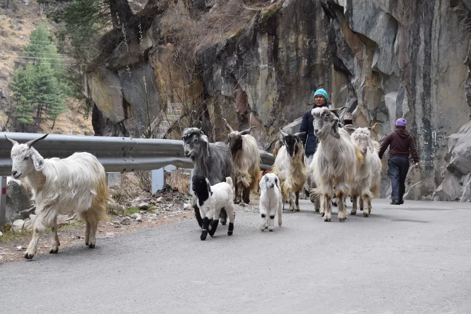 Photo of Bhuntar, Himachal Pradesh, India by Ashfaque Hussain