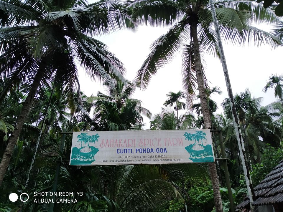 Photo of In Goa if you have free time from Bear bottles then must visit Sahakari Spice farm & Tropical farm. 1/4 by Rahul Gupta