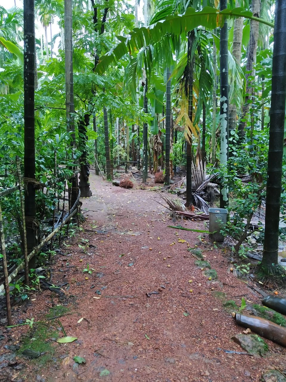 Photo of In Goa if you have free time from Bear bottles then must visit Sahakari Spice farm & Tropical farm. 4/4 by Rahul Gupta