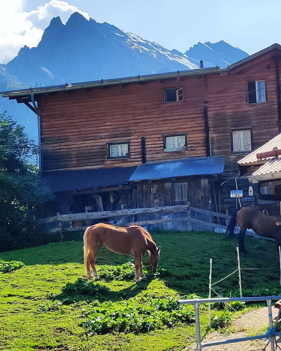 Photo of Gimmelwald, a hidden alpine Gem of the Jungfrau region ❤️ #Hiddengem by Magnets On My Fridge