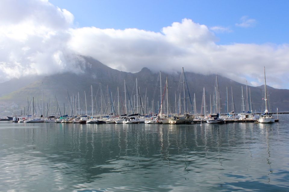 Photo of Cape of Good Hope, Cape Peninsula, Cape Town, South Africa by Ajinkya Sabale