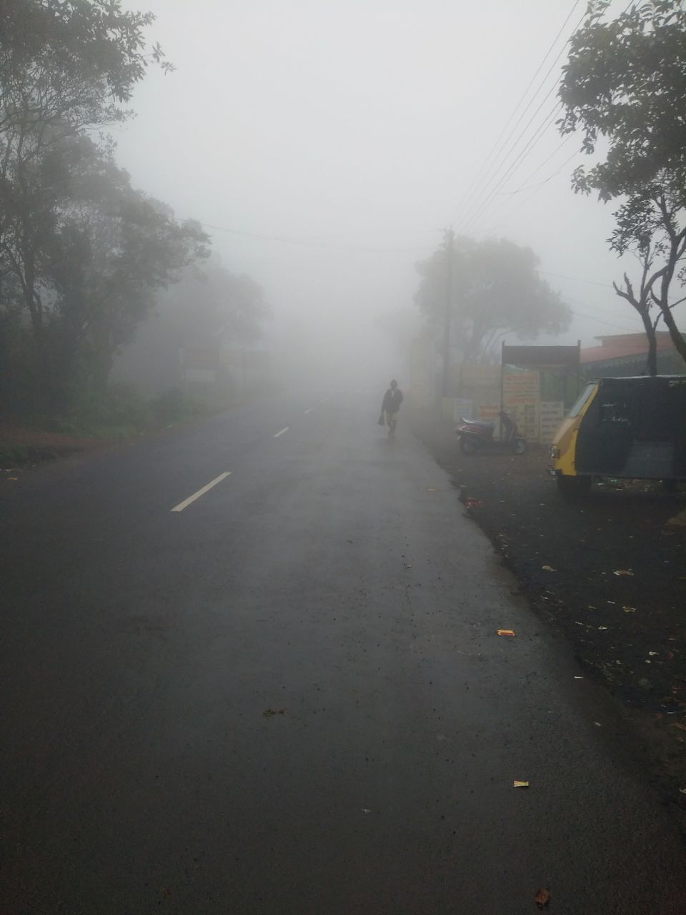 Photo of Vibrant Kokan by Ajinkya Sabale