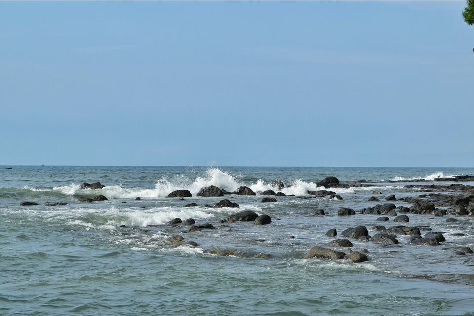 Photo of Vibrant Kokan by Ajinkya Sabale