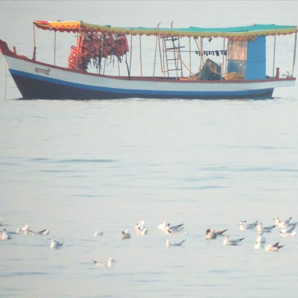 Photo of Vibrant Kokan by Ajinkya Sabale