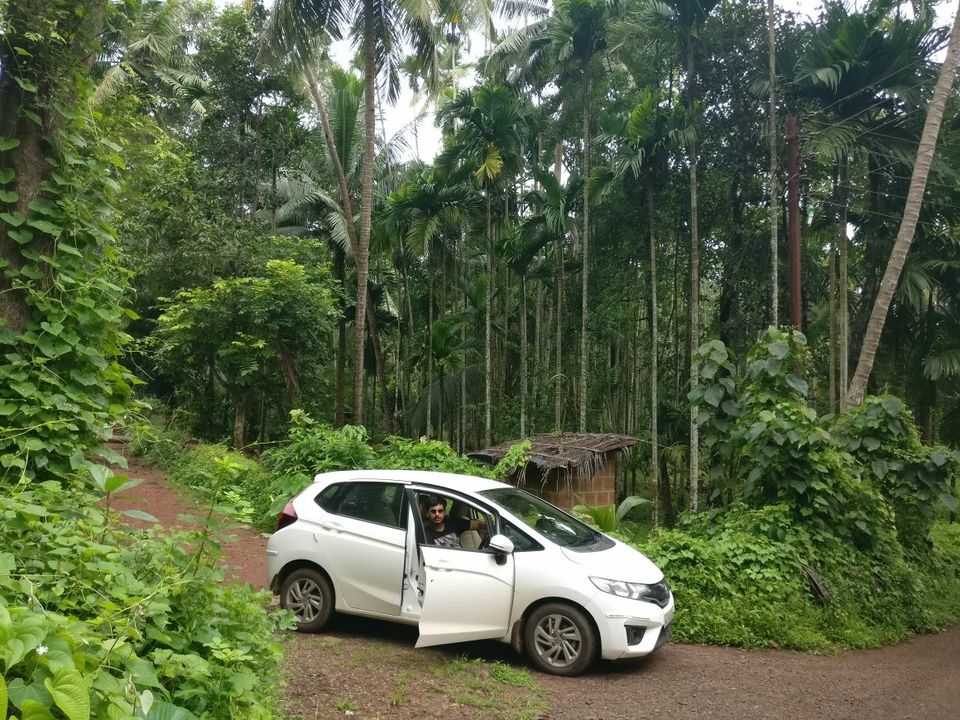 Photo of Vibrant Kokan by Ajinkya Sabale