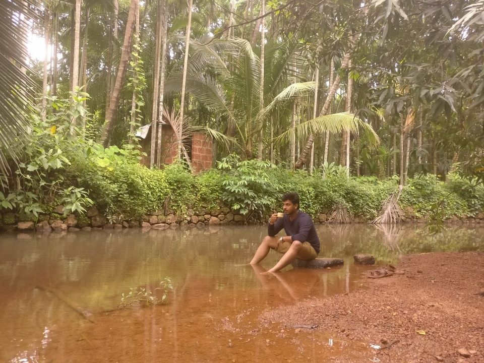 Photo of Vibrant Kokan by Ajinkya Sabale