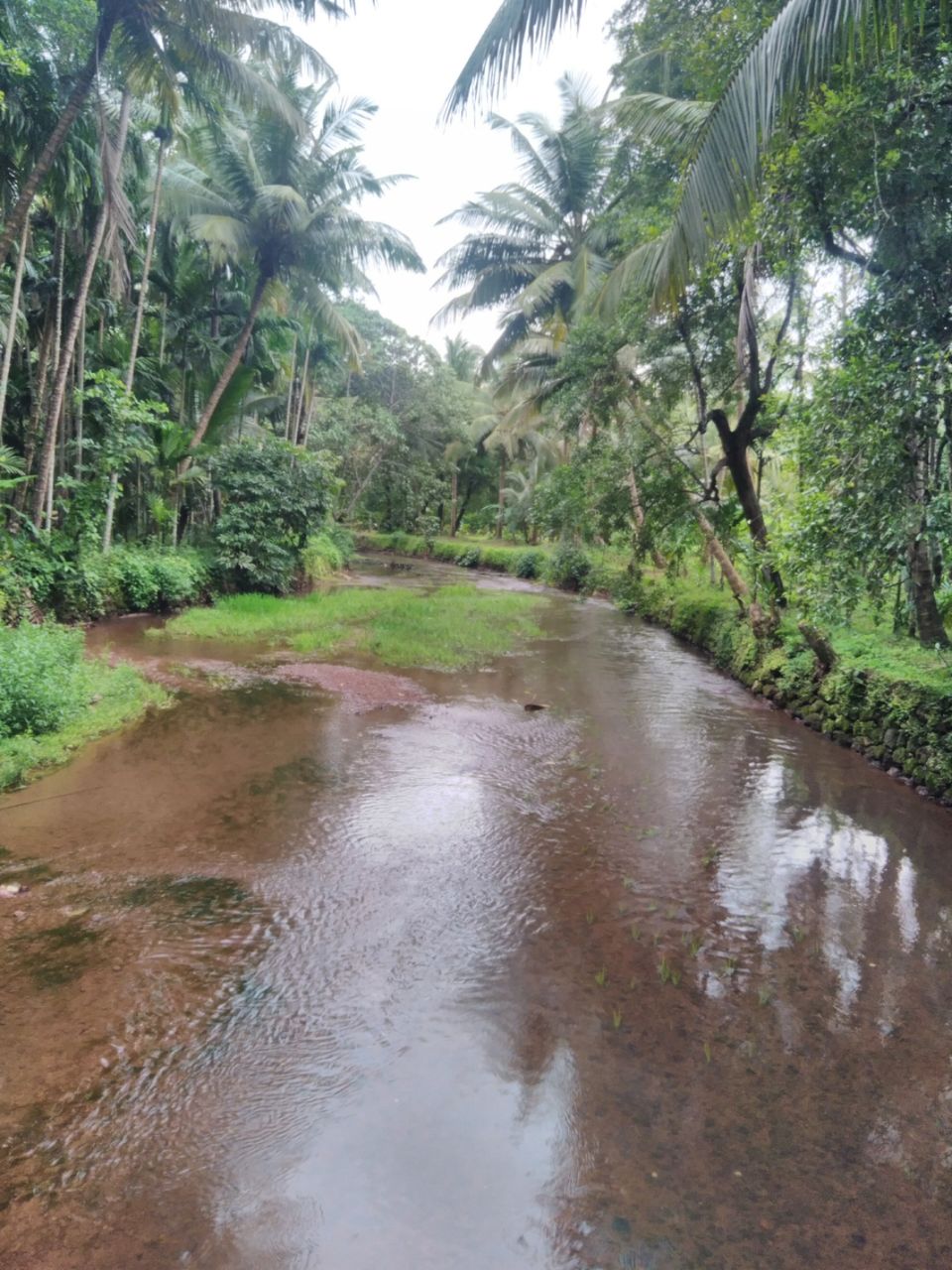 Photo of Vibrant Kokan by Ajinkya Sabale