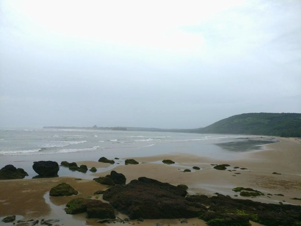 Photo of Vibrant Kokan by Ajinkya Sabale