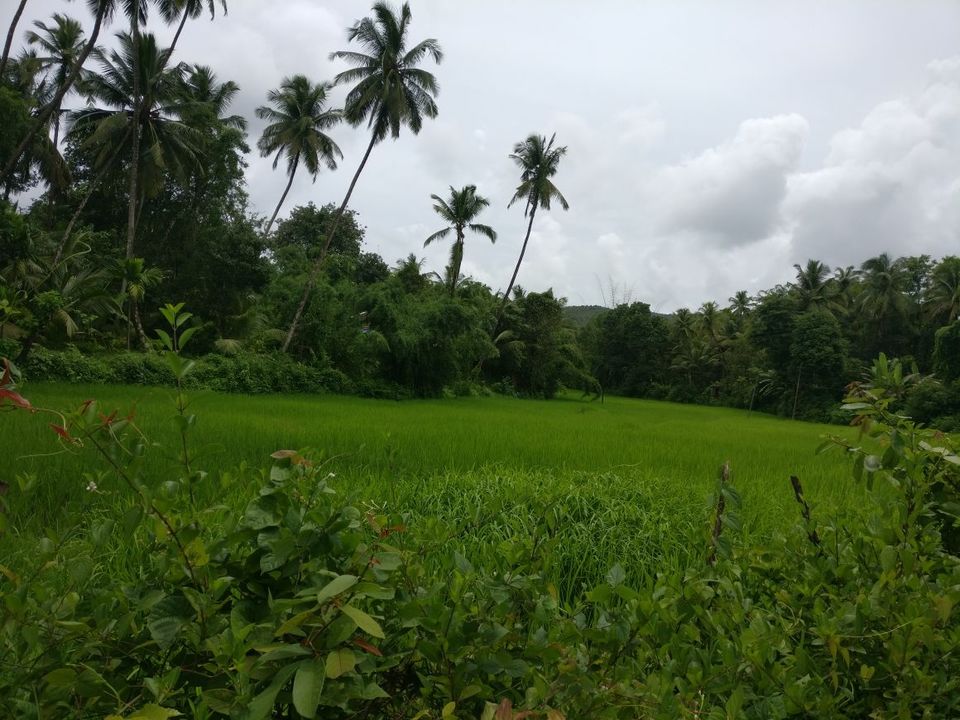 Photo of Vibrant Kokan by Ajinkya Sabale