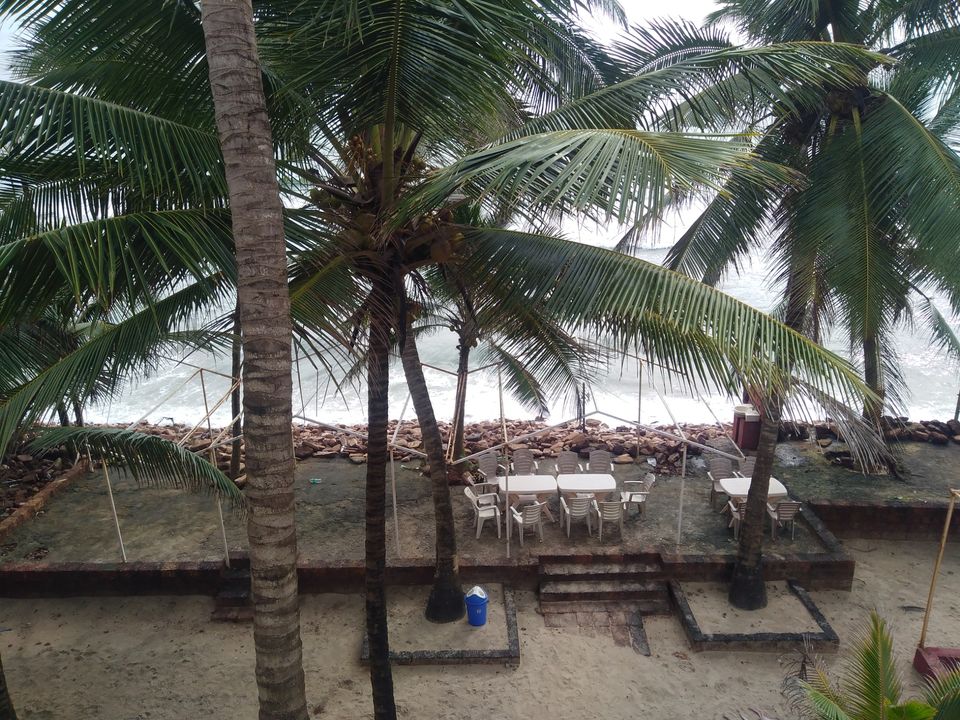 Photo of Vibrant Kokan by Ajinkya Sabale