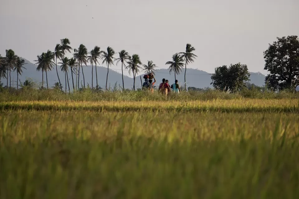 Photo of Sanapur, Karnataka, India by Ajinkya Sabale