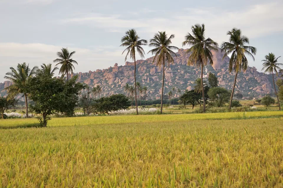 Photo of Sanapur, Karnataka, India by Ajinkya Sabale