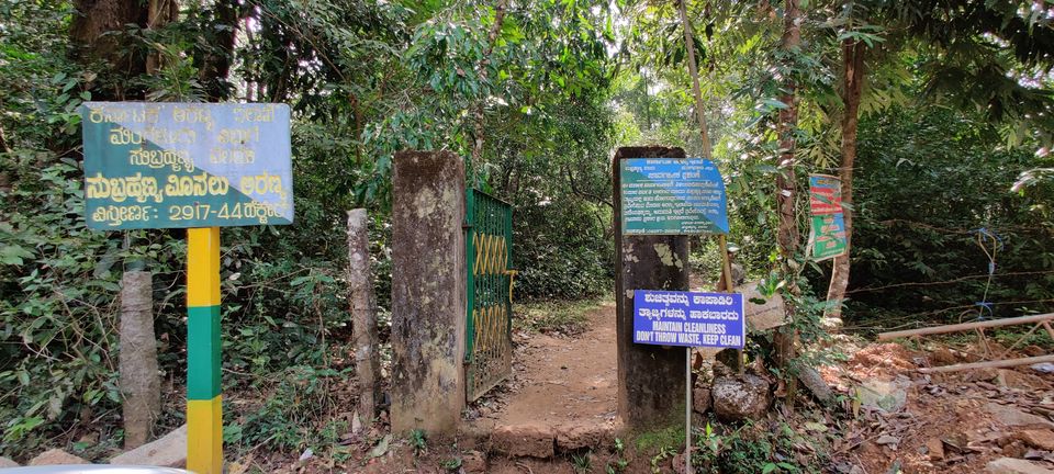 Photo of Toughest Trek In the Western Ghats Of Karnataka | Kumara Parvatha Trek from Bangalore | Part 1 1/3 by sagar lama