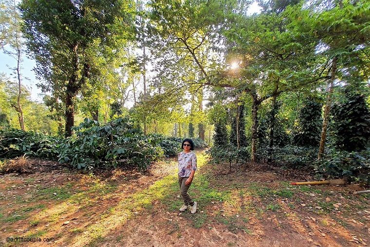 Photo of Old Kent Estates & Spa, Coorg, Old Kent Estate Road, Kodagu, Karnataka, India by AdriftCouple