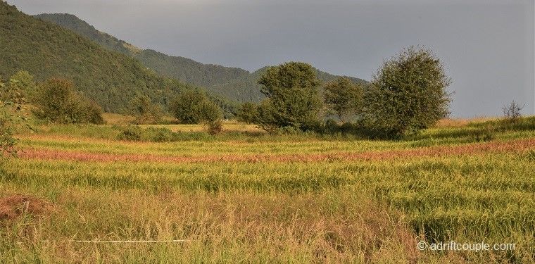 Photo of Bir, Himachal Pradesh, India by AdriftCouple