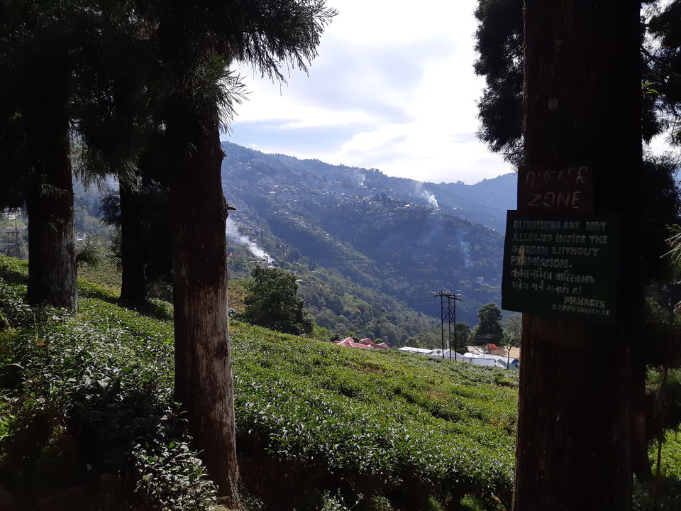 Photo of Kurseong, West Bengal, India by Aditi Goswami