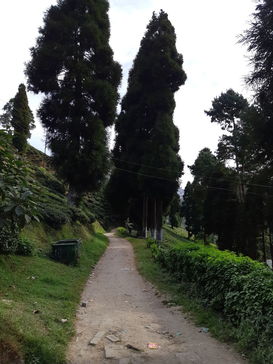 Photo of Kurseong, West Bengal, India by Aditi Goswami