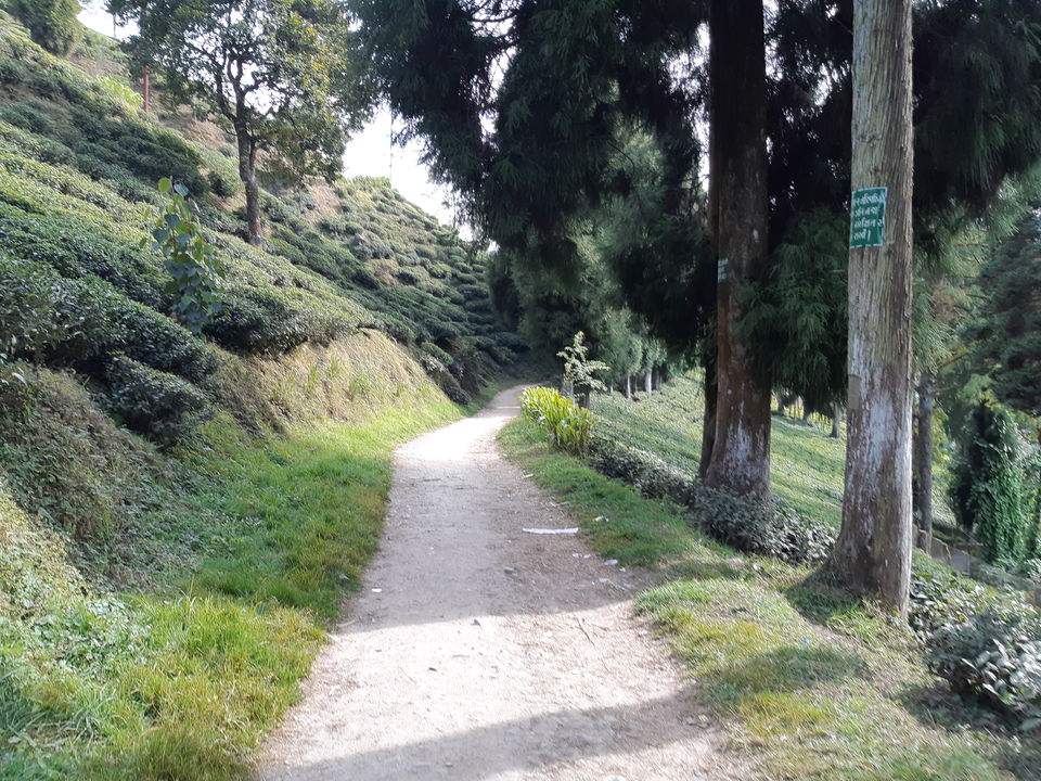 Photo of Kurseong, West Bengal, India by Aditi Goswami