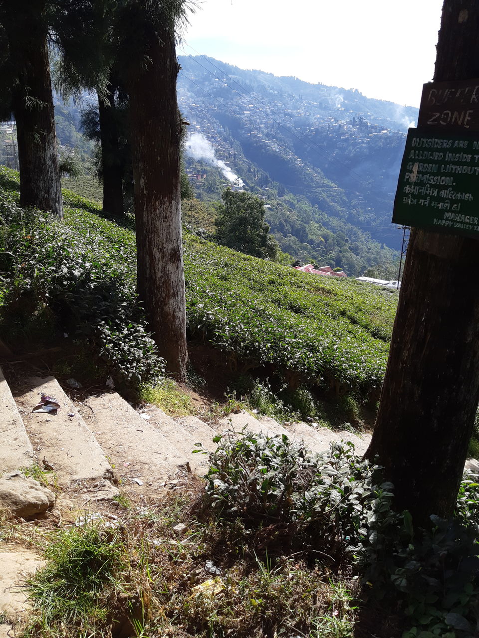 Photo of Kurseong, West Bengal, India by Aditi Goswami
