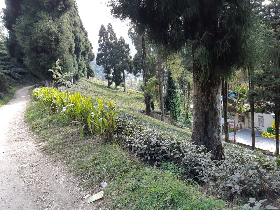 Photo of Kurseong, West Bengal, India by Aditi Goswami
