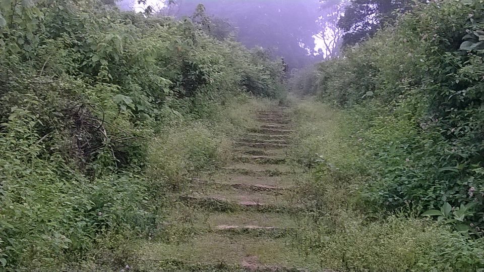 Photo of Breathtaking and mystical escape into nature's lap. 5/9 by Nidhi Pandey