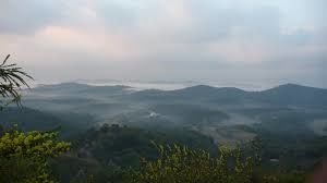 Photo of Green Land : Coorg 1/9 by Nidhi Pandey