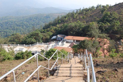Photo of Green Land : Coorg 2/9 by Nidhi Pandey