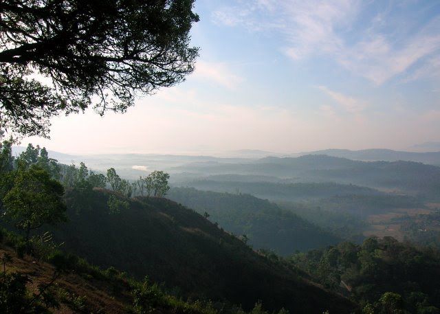 Photo of Green Land : Coorg 3/9 by Nidhi Pandey