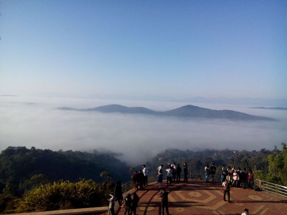 Photo of Green Land : Coorg 4/9 by Nidhi Pandey