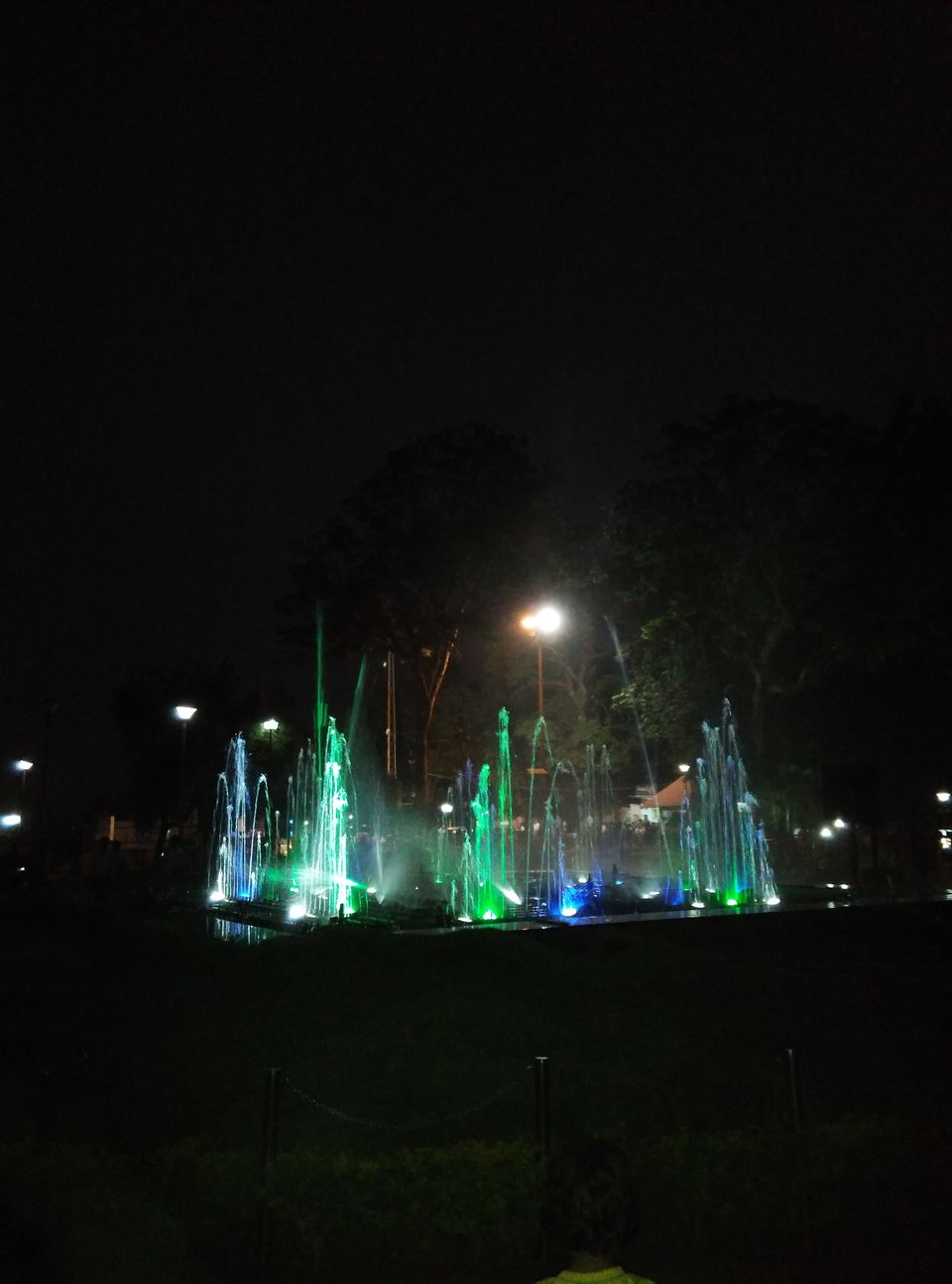 Photo of Green Land : Coorg 5/9 by Nidhi Pandey