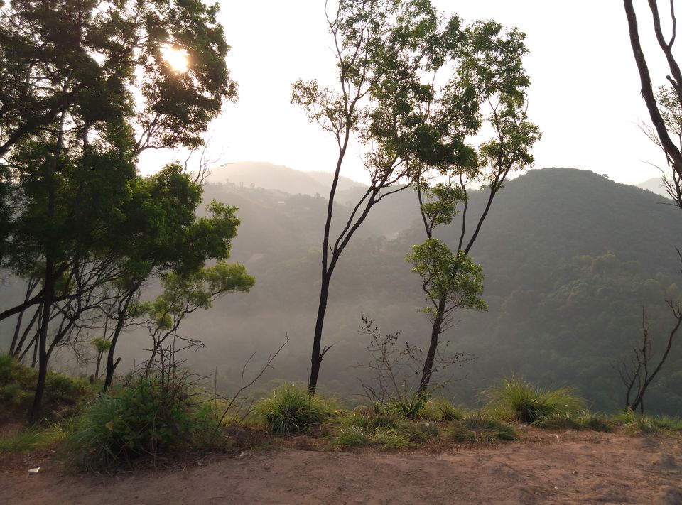 Photo of Green Land : Coorg 6/9 by Nidhi Pandey