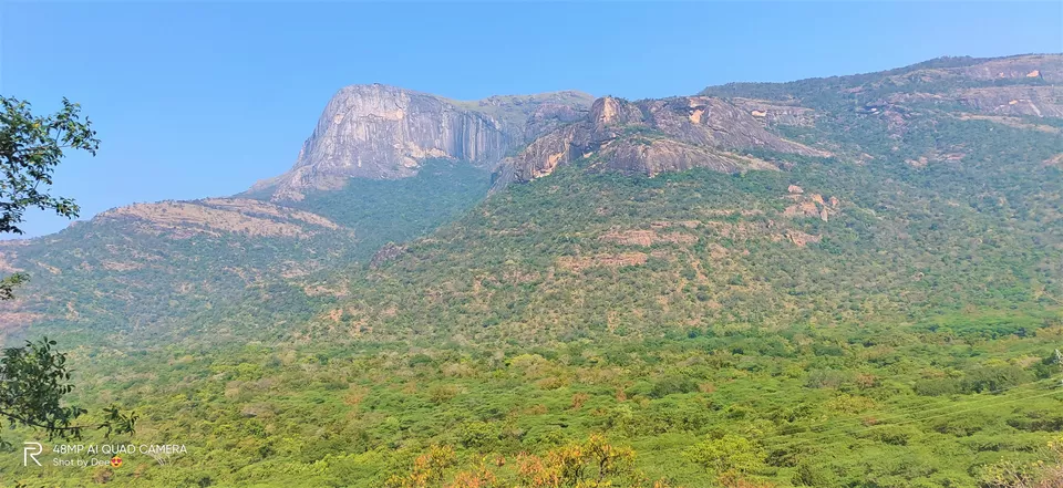 Photo of Chinnar Wildlife Sanctuary, Munnar - Udumalpet Road, Munnar, Kerala, India by DeePassionateWanderer