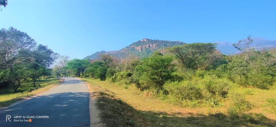 Photo of Chinnar Wildlife Sanctuary, Munnar - Udumalpet Road, Munnar, Kerala, India by DeePassionateWanderer