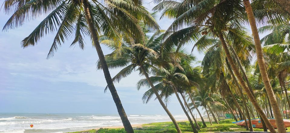 Photo of The Cute Lil' Cottage on the Beach by DeePassionateWanderer