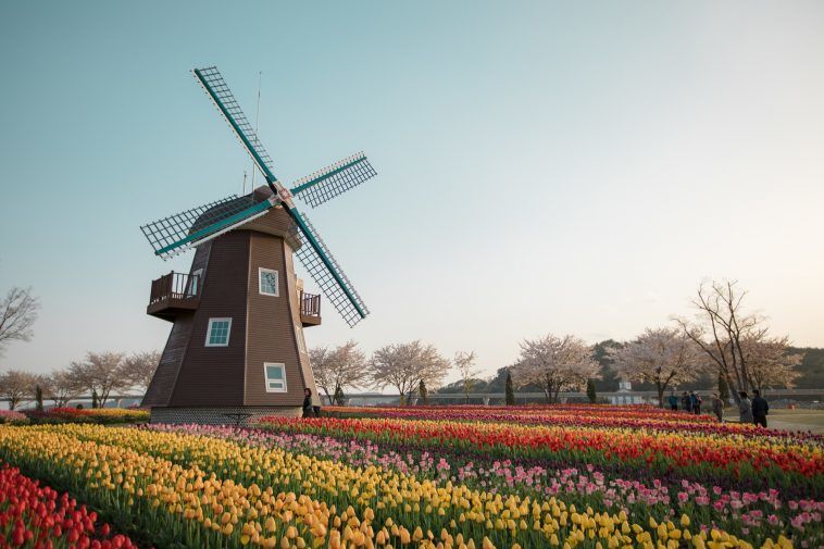 Photo of What Is the Netherlands Known For? 2/4 by Sreeram Hariharan